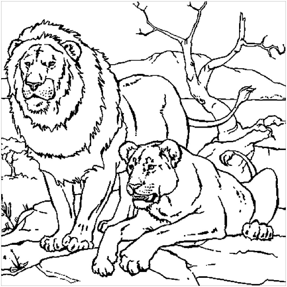 lion printable coloring pages