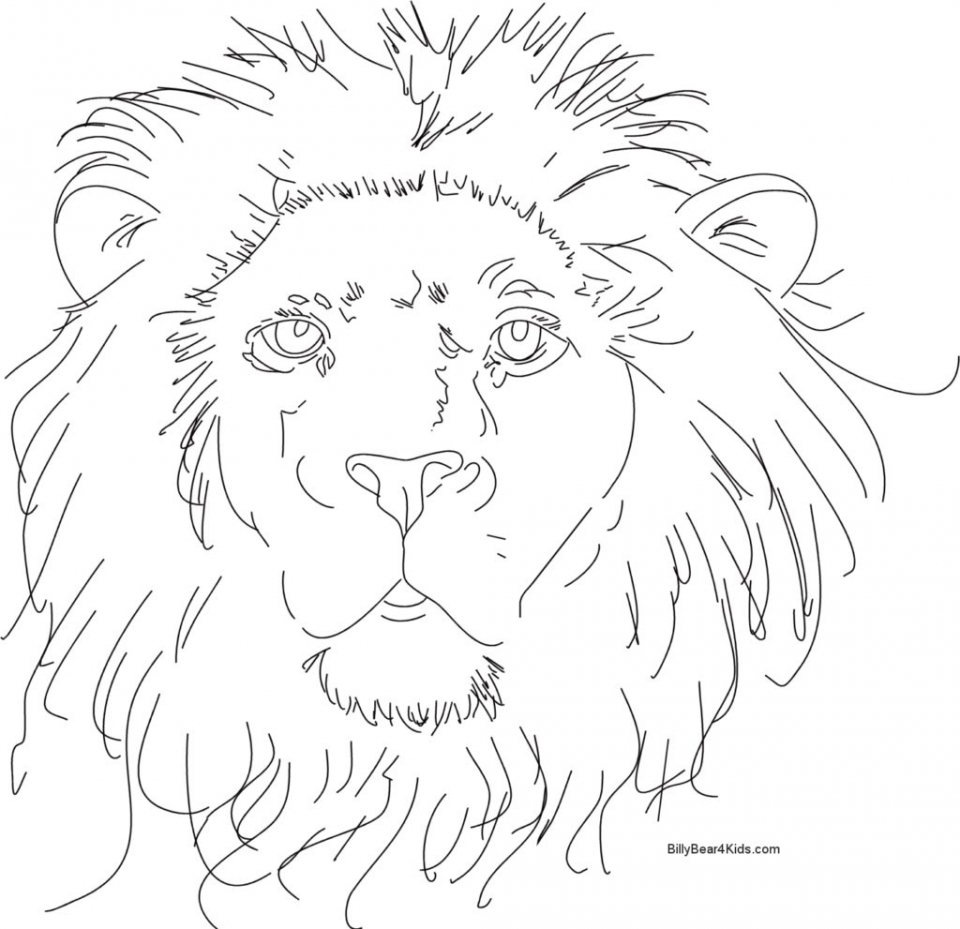 Free Printable Lion Coloring Pages EverFreeColoring 612 The Best Porn 