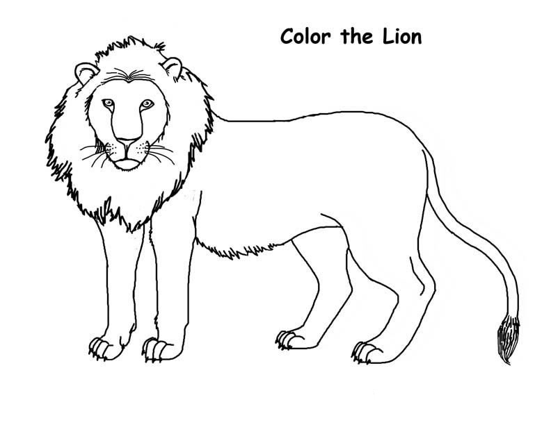 coloring pages lion
