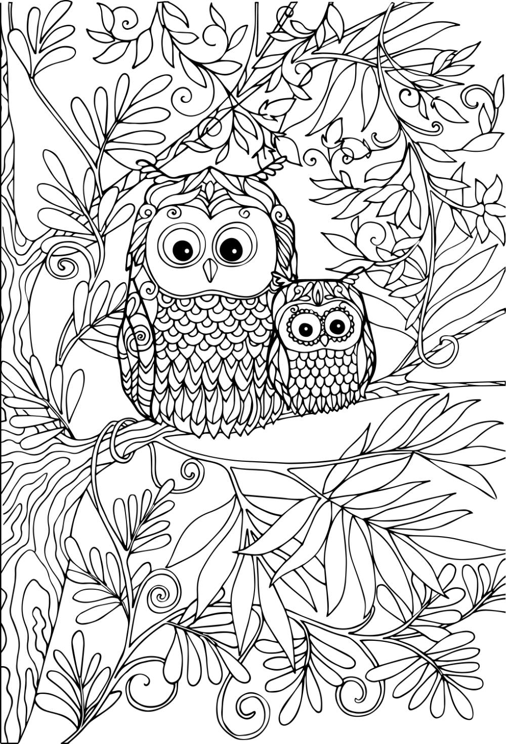 Free Printable Owls