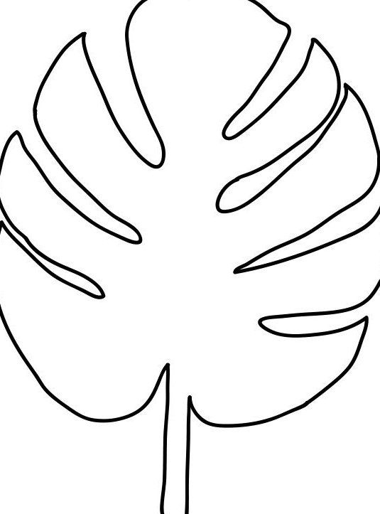 free printable pictures of leaves