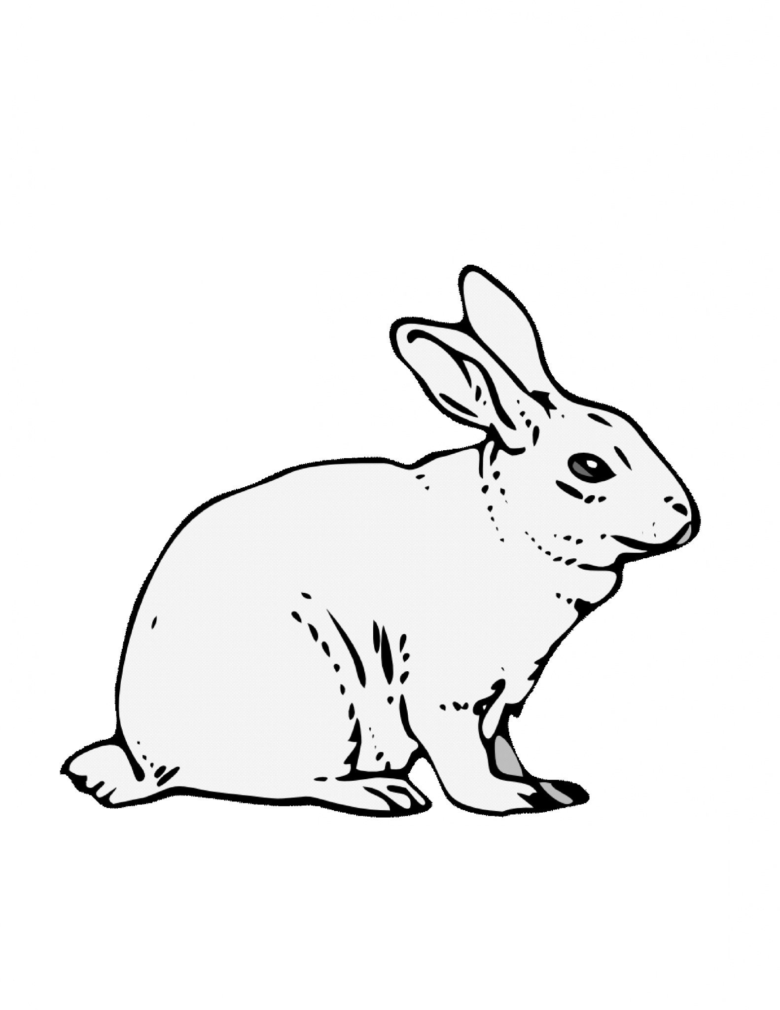 Free Printable Pictures Of Bunny Rabbits
