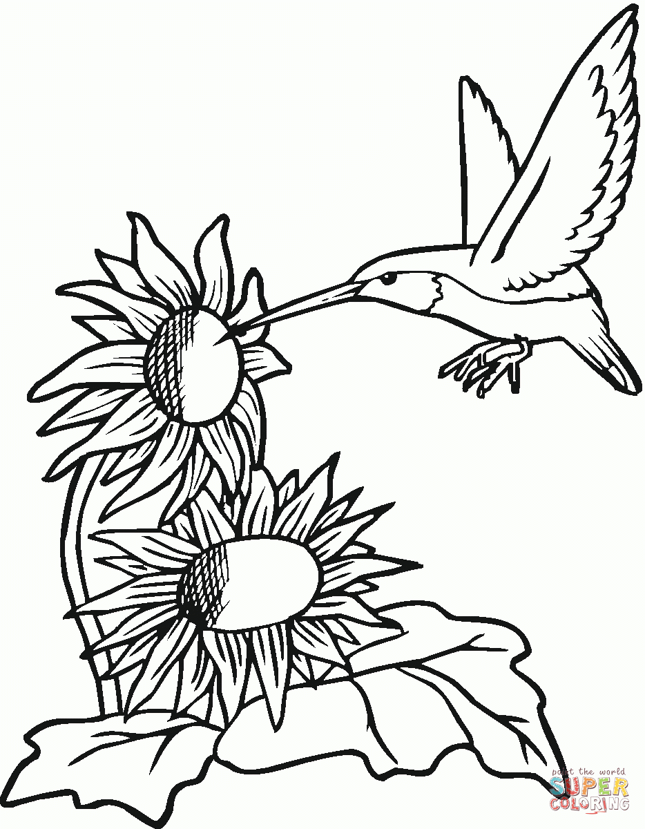Free Printable Pictures Of Hummingbirds Free Printable