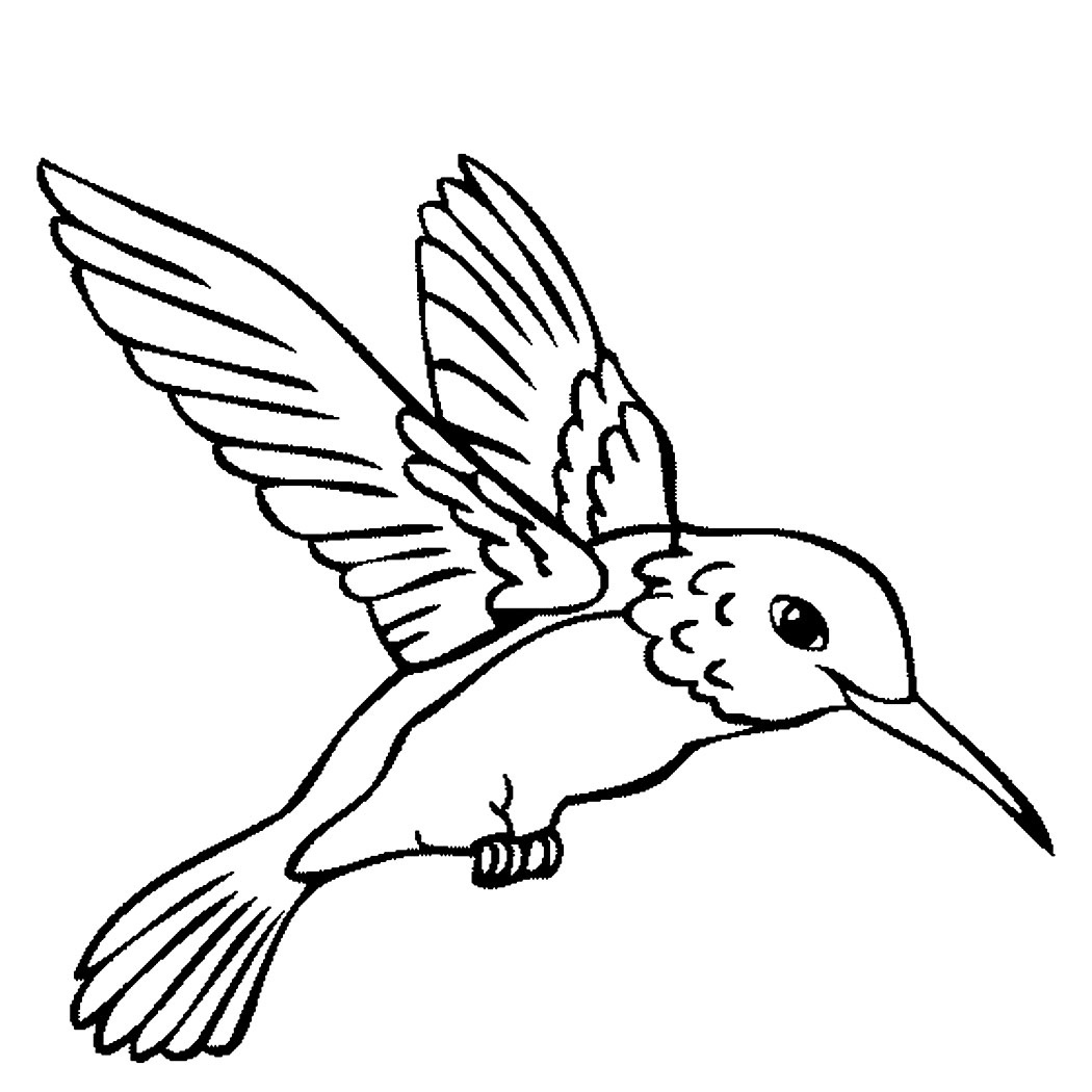 Free Printable Pictures Of Hummingbirds Free Printable