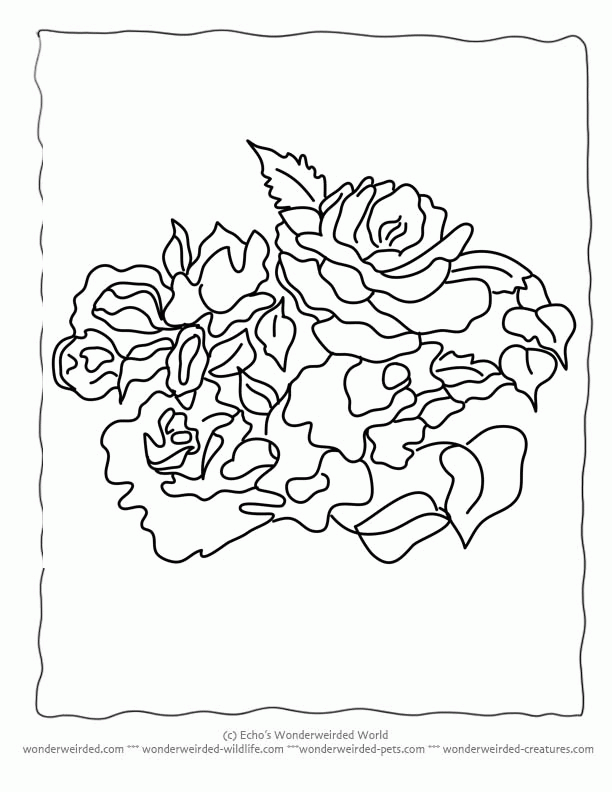 Free Printable Pictures Of Roses Coloring Home