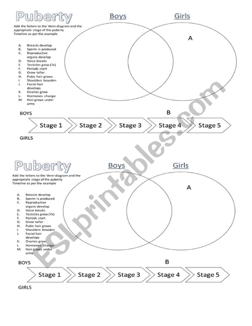 Free Printable Puberty Activity Worksheets