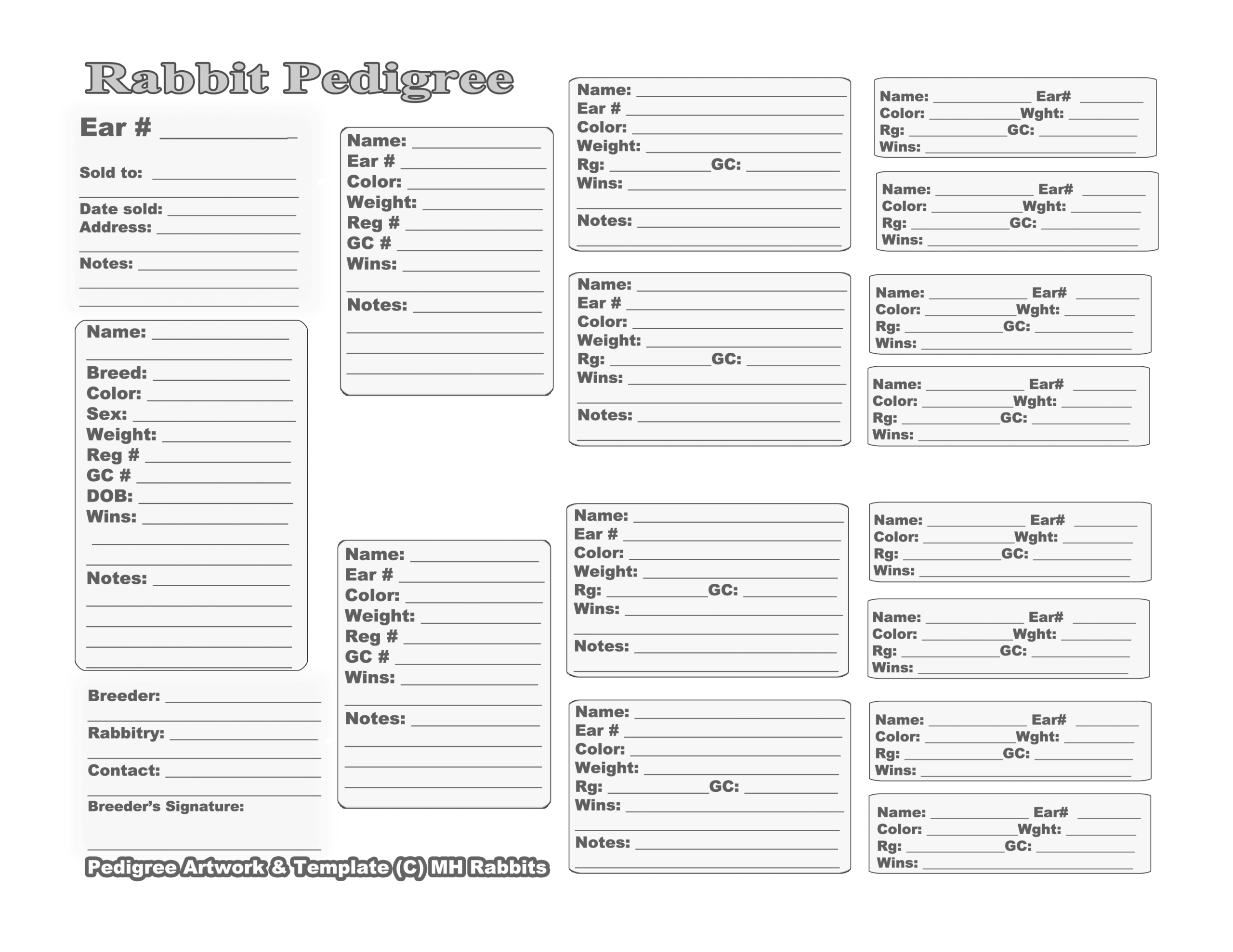 free printable rabbit pictures
