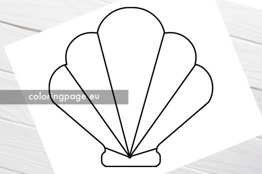 printable seashell pictures