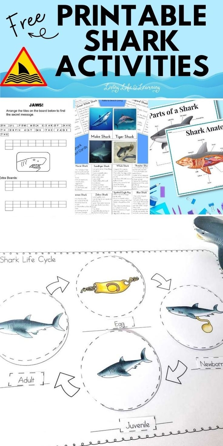 free printable shark activities