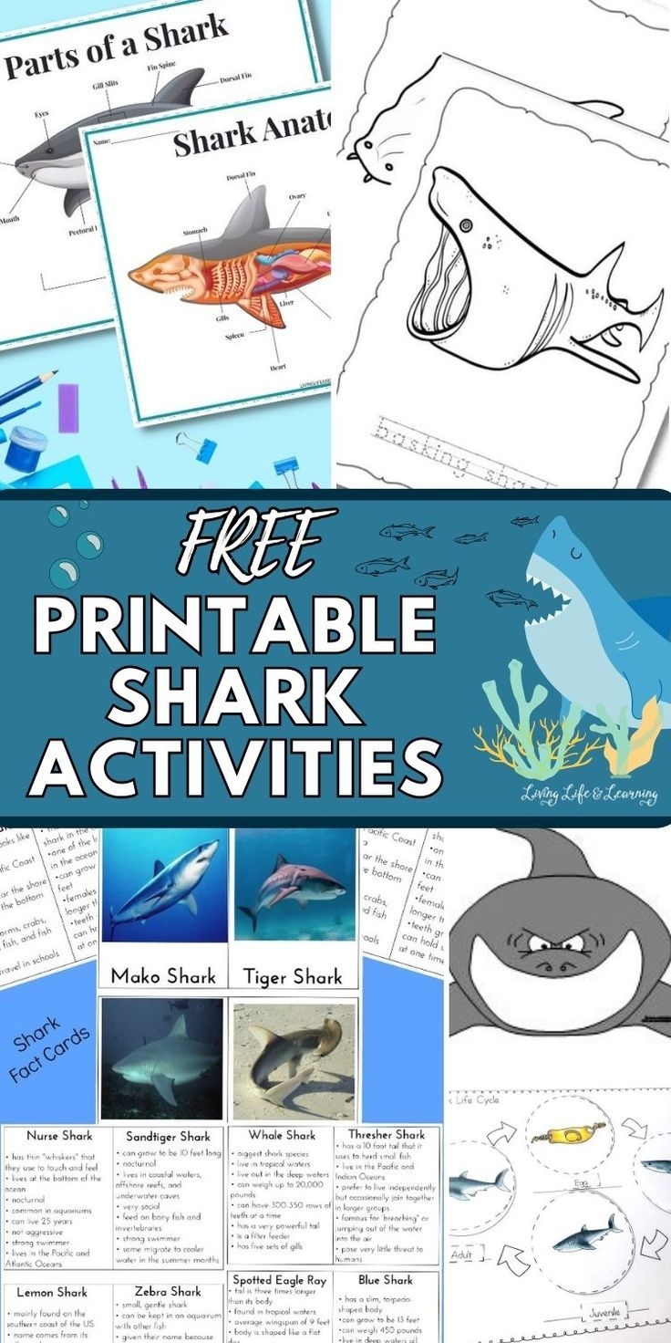 Free Printable Shark Activities Artofit
