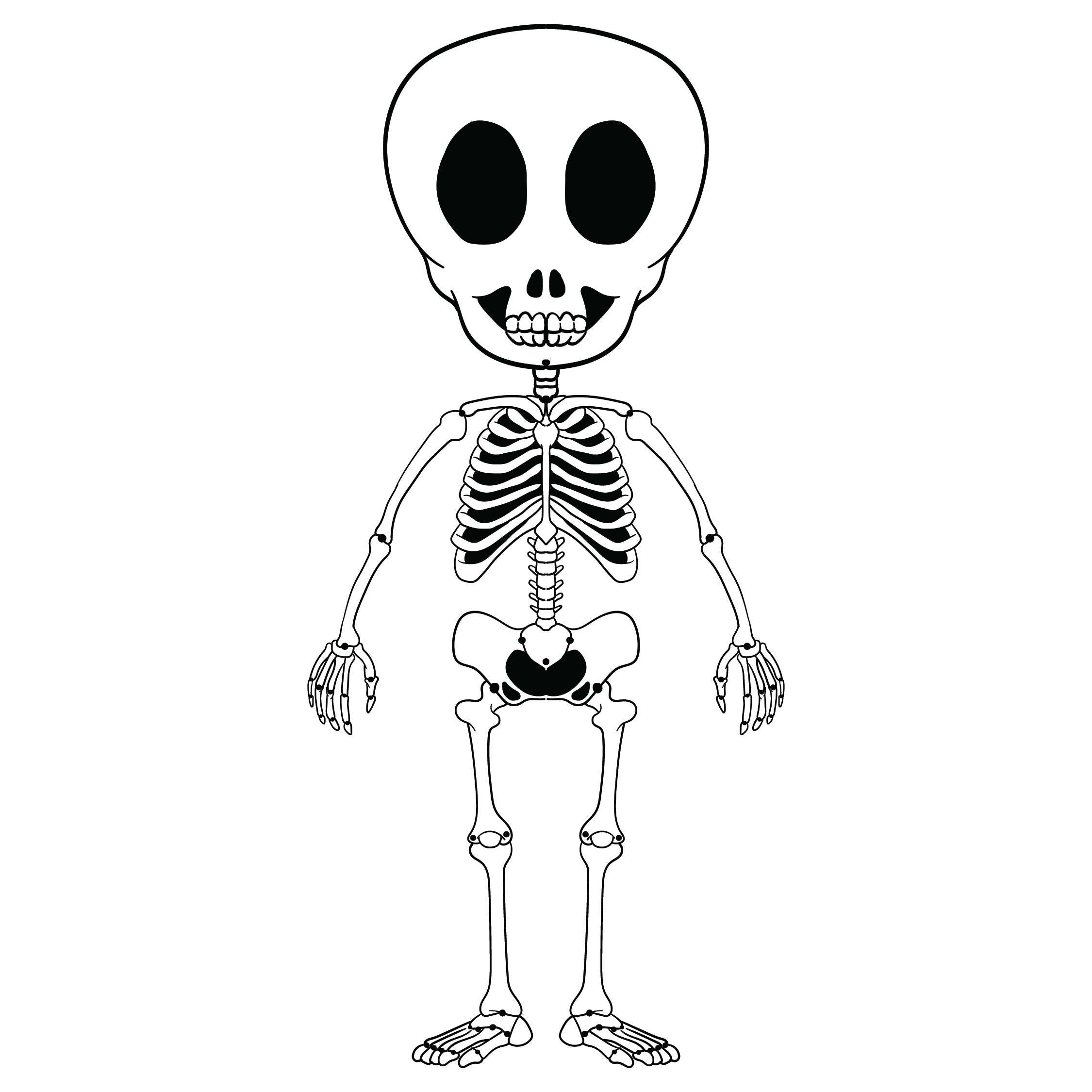 Free Printable Skeleton Bones Anatomy Worksheets