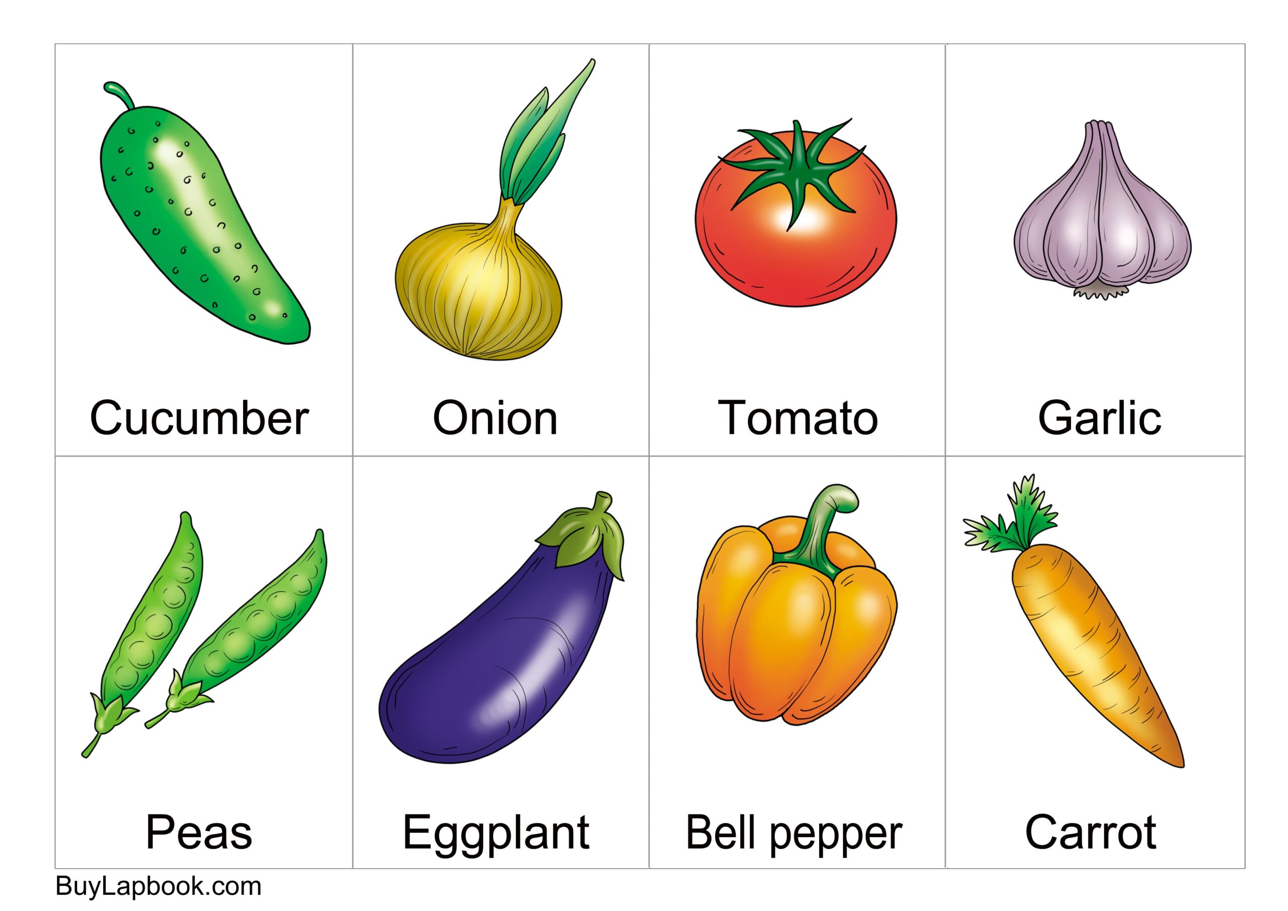 Free Printable Vegetable Flashcards Free Templates Printable