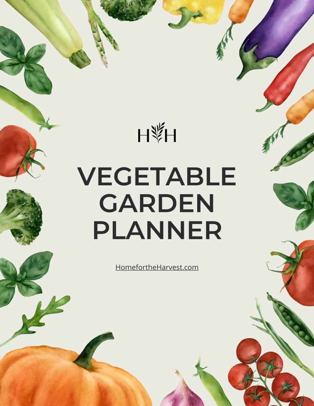 free printable vegetable pictures