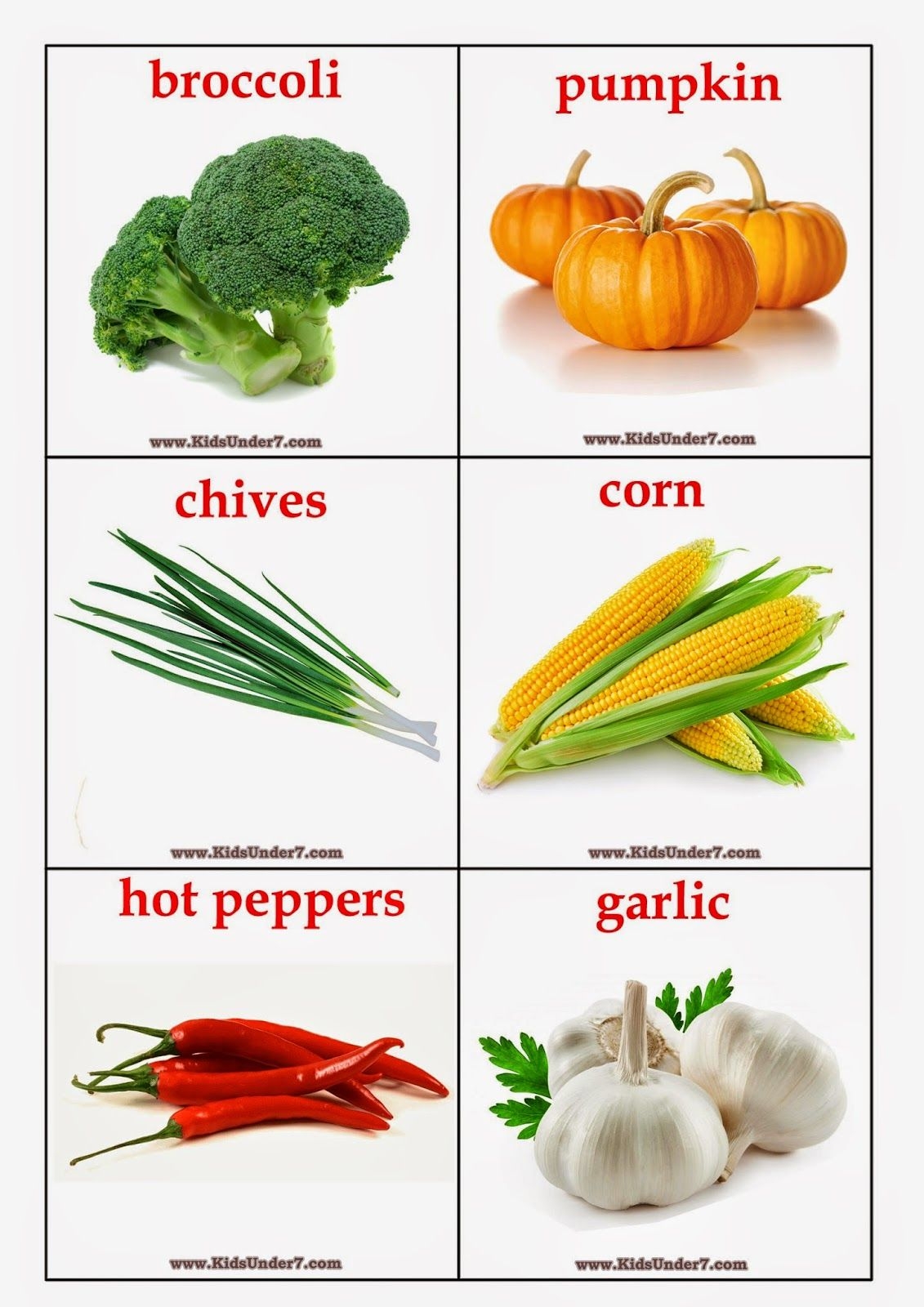 Free Printable Vegetable Pictures