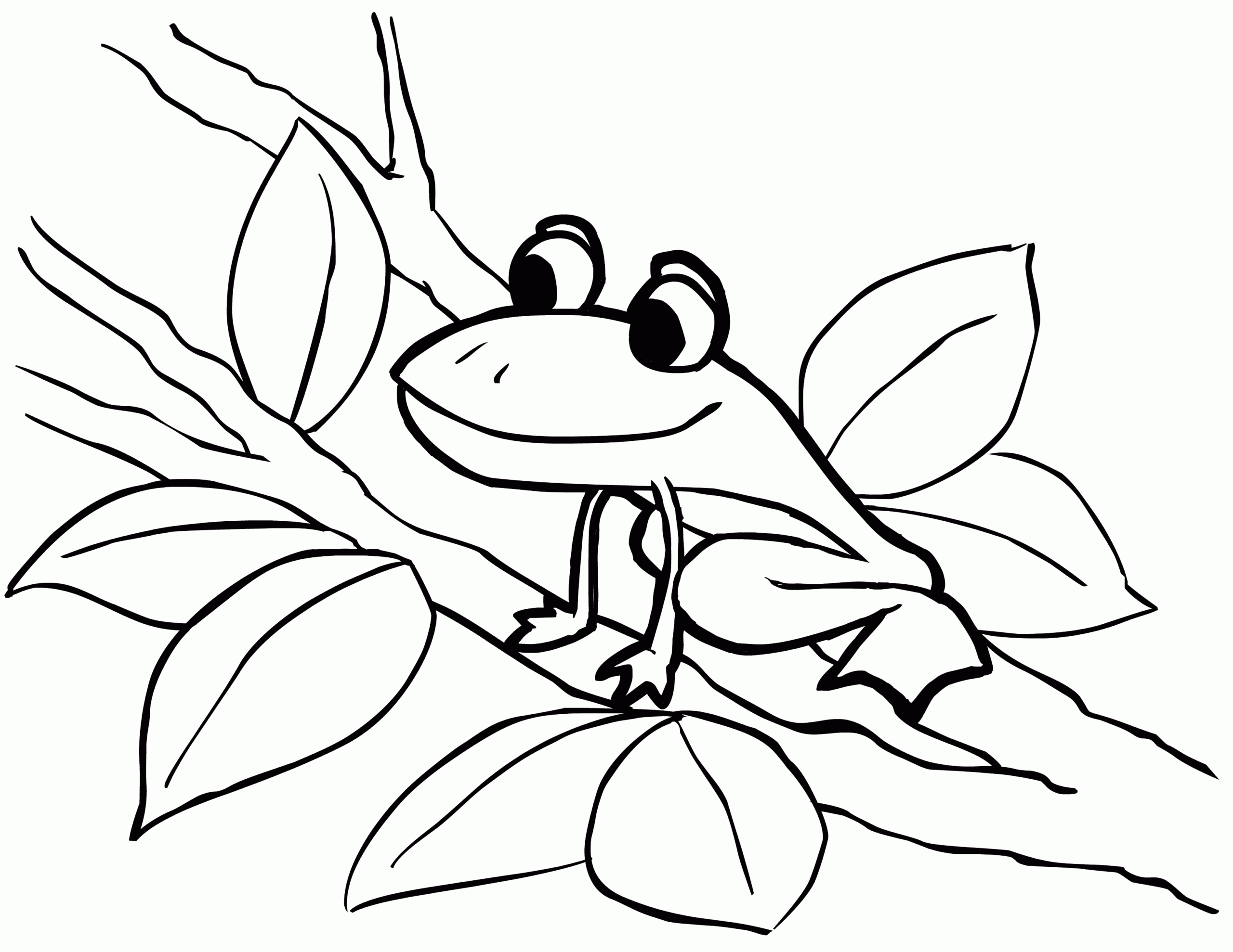 frog printable pictures