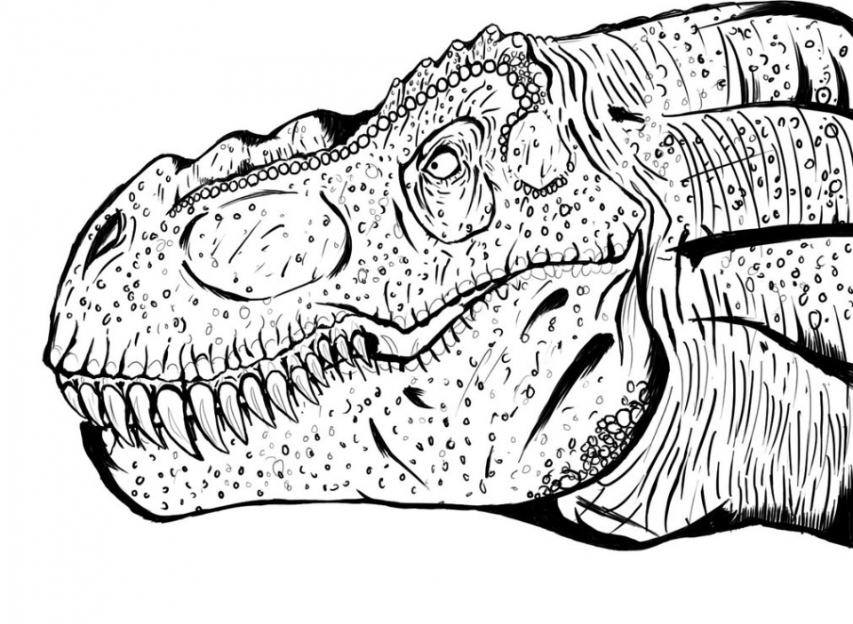 printable t rex pictures