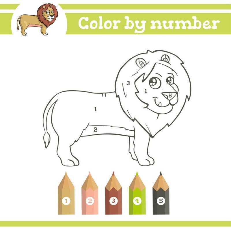 african lion color