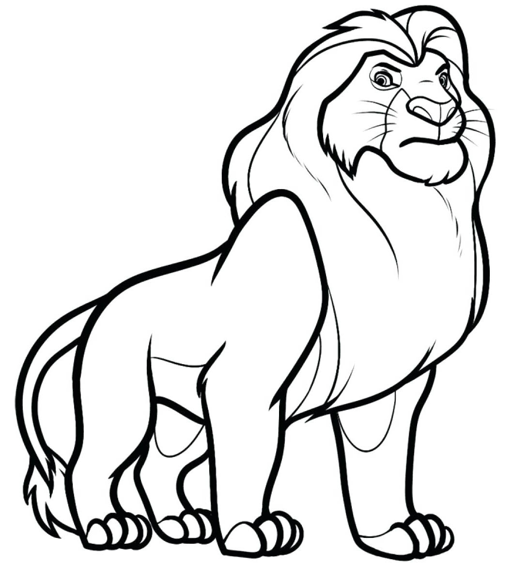 color a lion