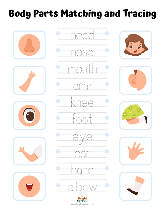 my body printable activities