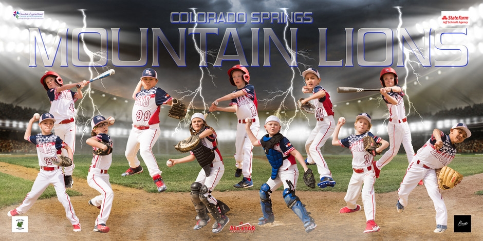 Home Colorado Springs Mountain Lions