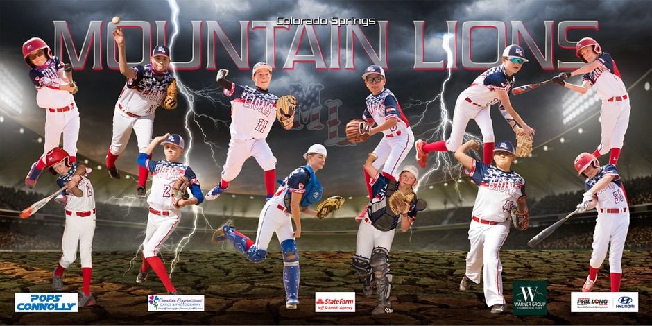 Home Colorado Springs Mountain Lions
