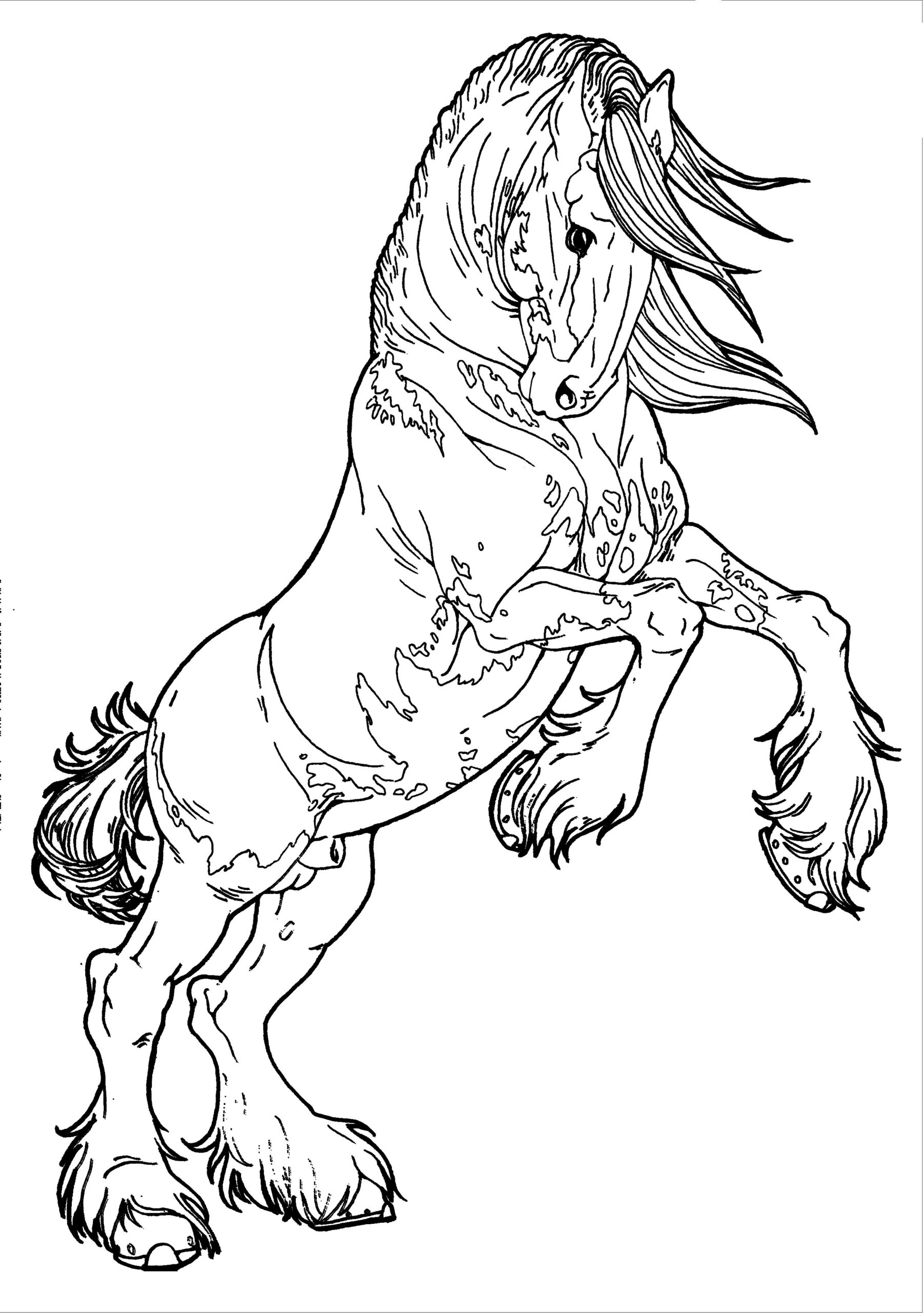 Horse Coloring Printable Printable Sight Words List