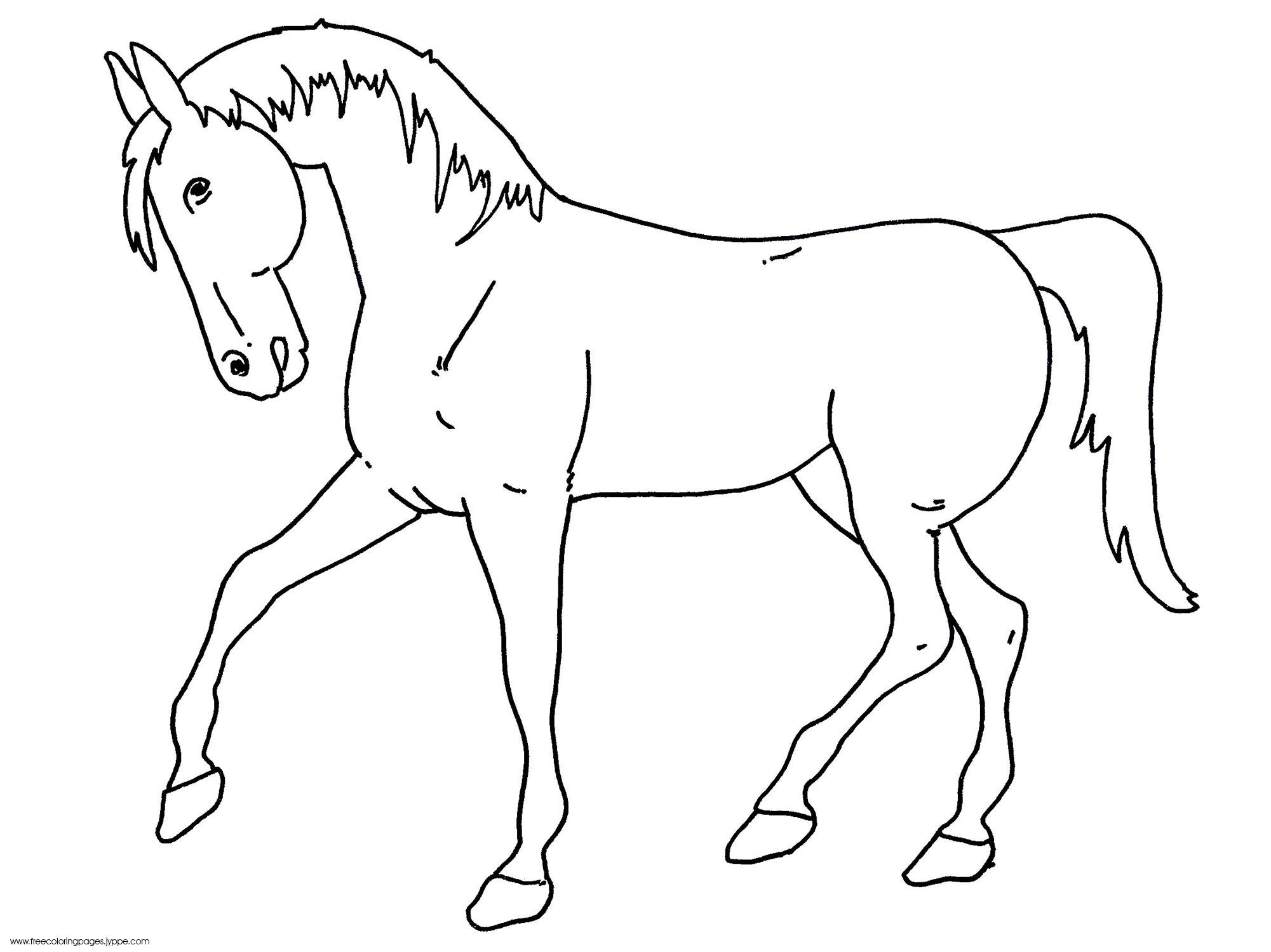 horse picture printable
