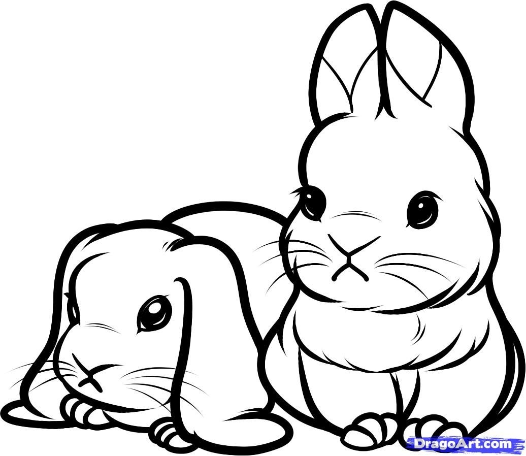 free printable pictures of bunny rabbits