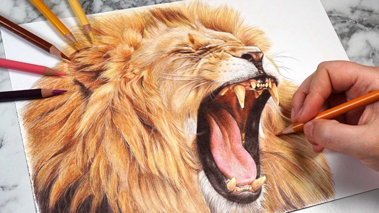 How To Draw A Realistic Lion With Colored Pencils Infoupdate