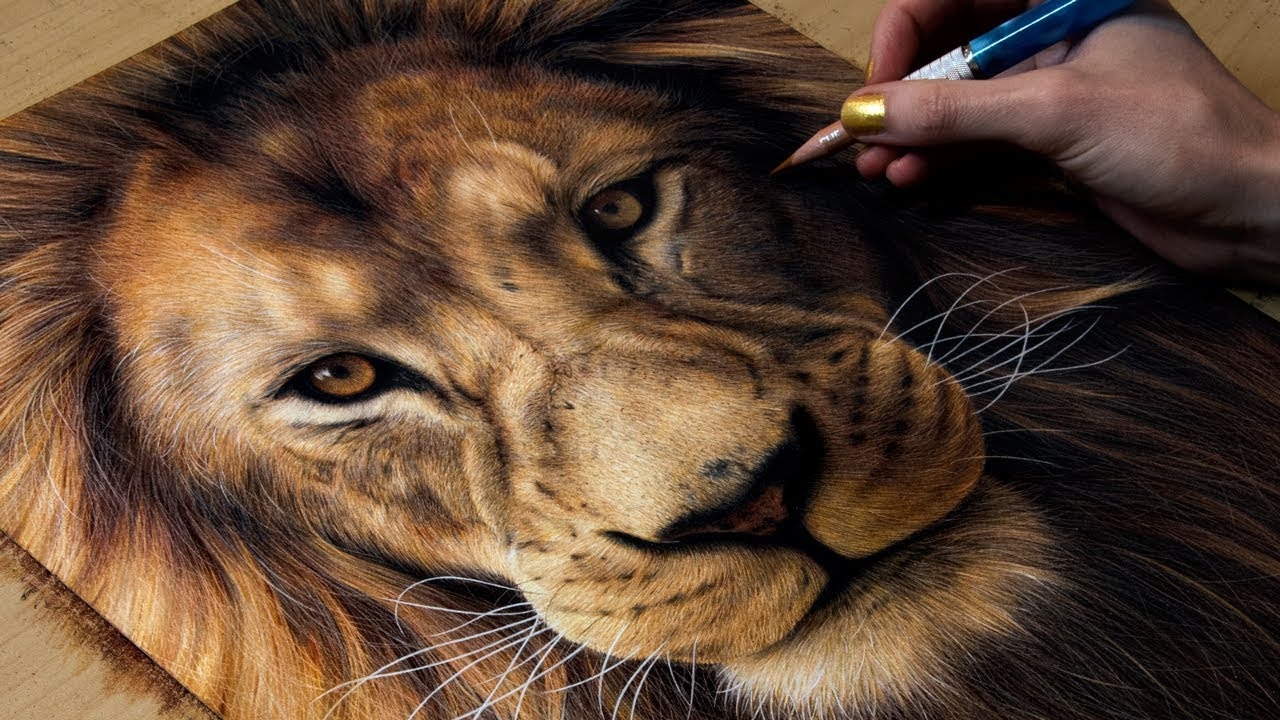 How To Draw A Realistic Lion With Colored Pencils Infoupdate