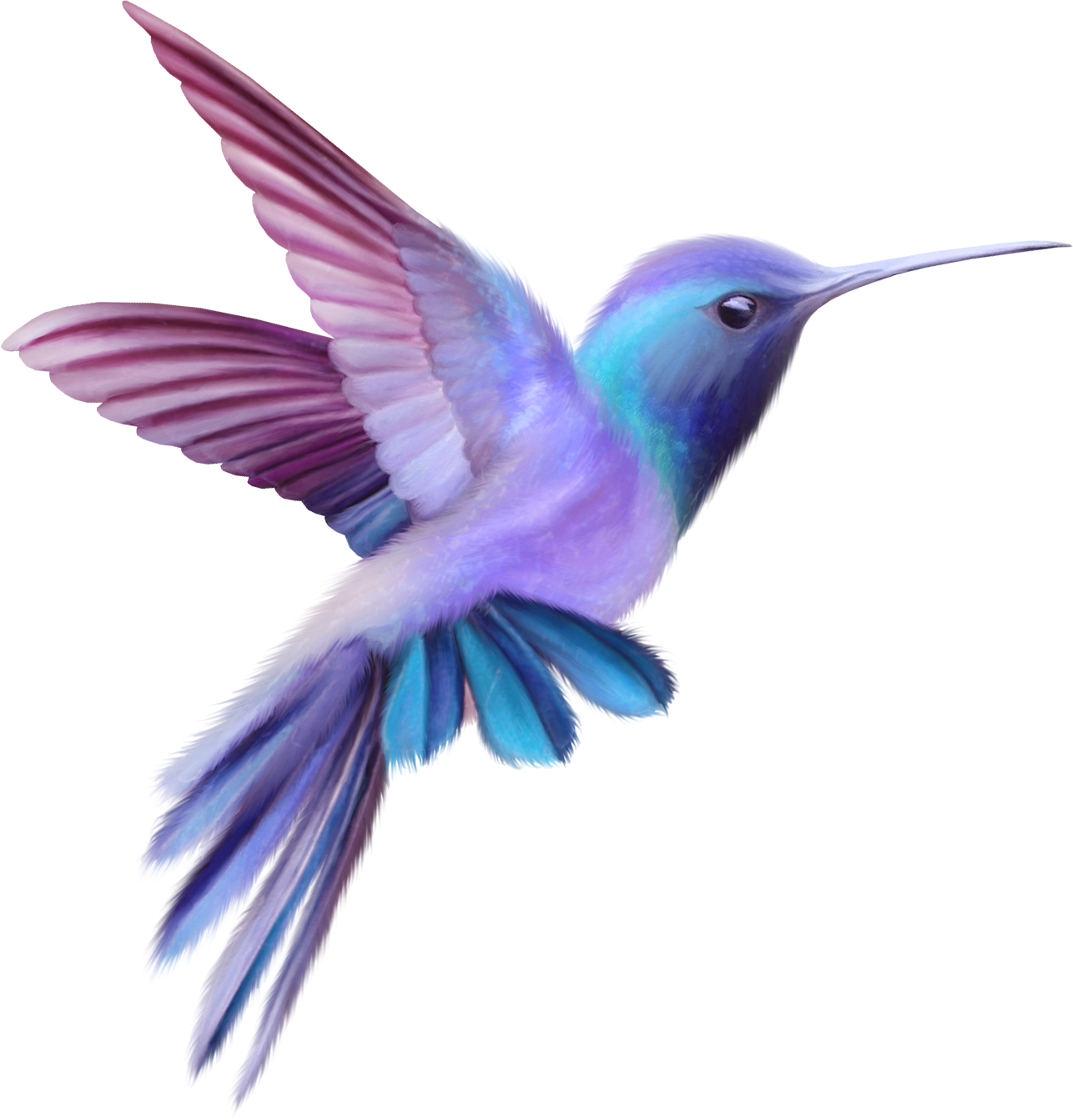 Hummingbird Clipart Printable Picture 1380205 Hummingbird Clipart 