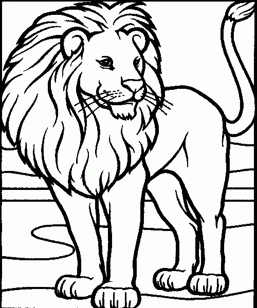 Ivy 39 s Coloring Book Lion