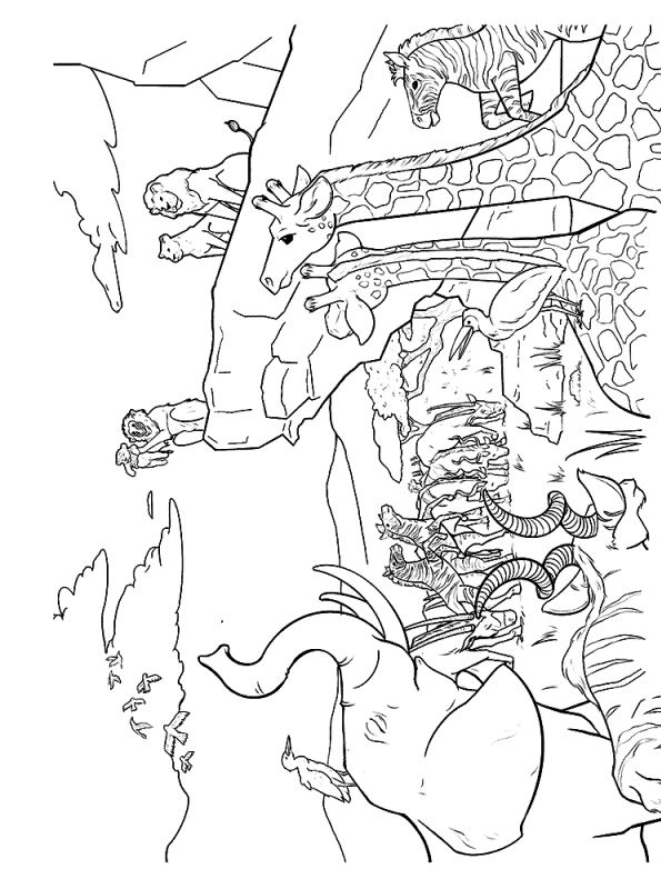 Kids n fun Coloring Page Lion KIng 2019 Lion King