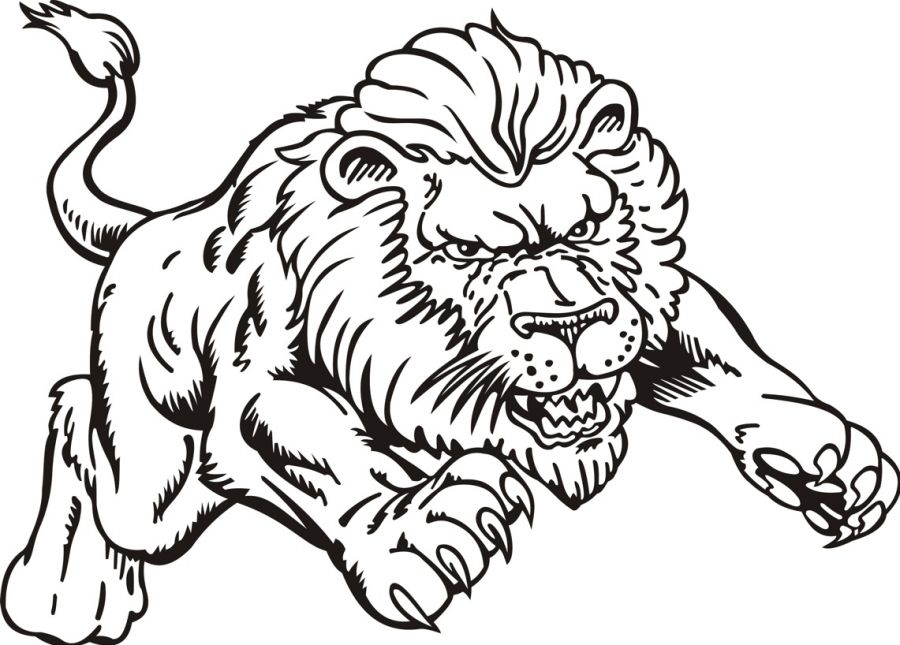 lion coloring pages realistic