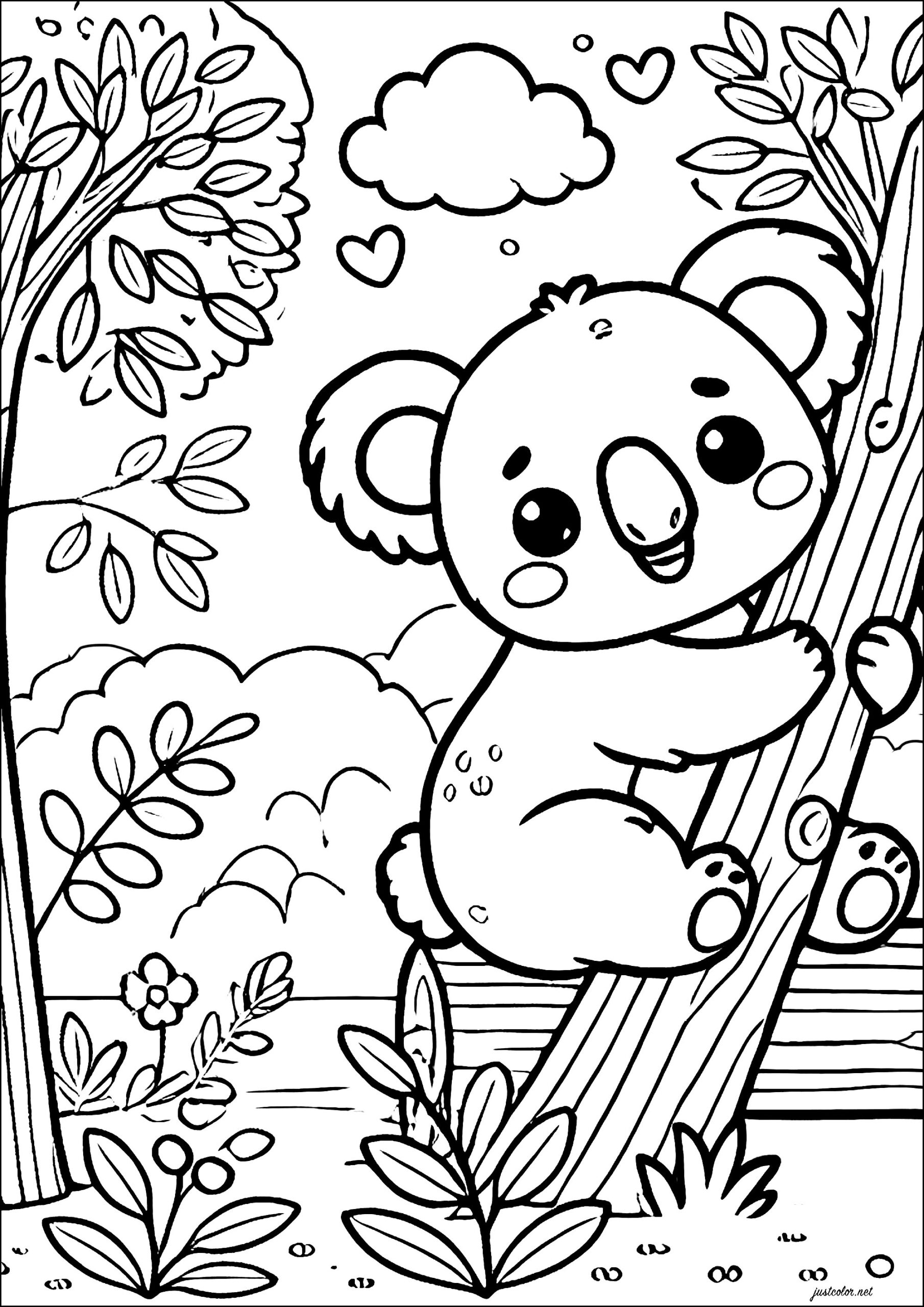 Koala Hanging On A Tree Koalas Coloring Pages