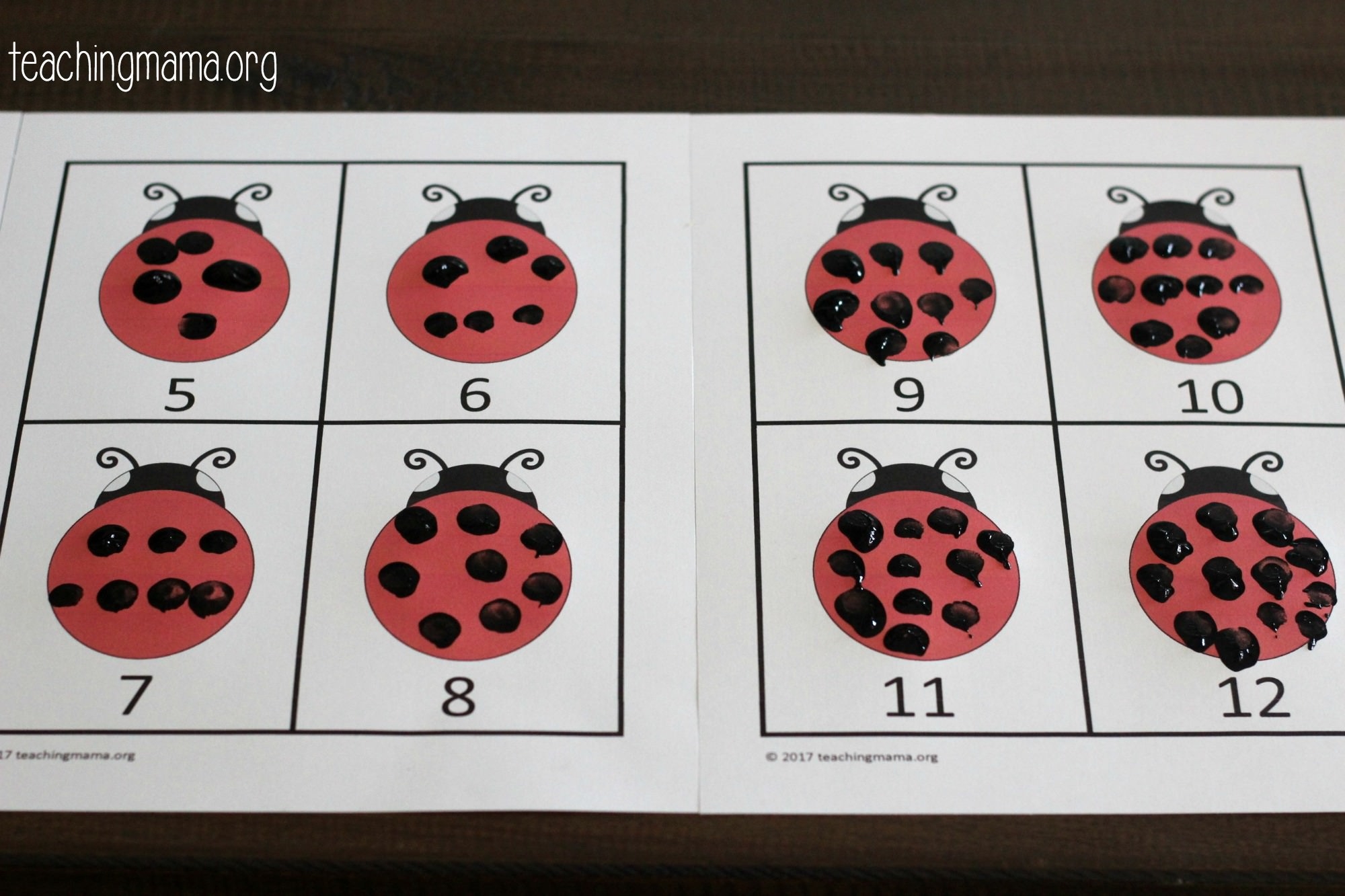 Ladybug Counting Printable TUTORE ORG Master Of Documents