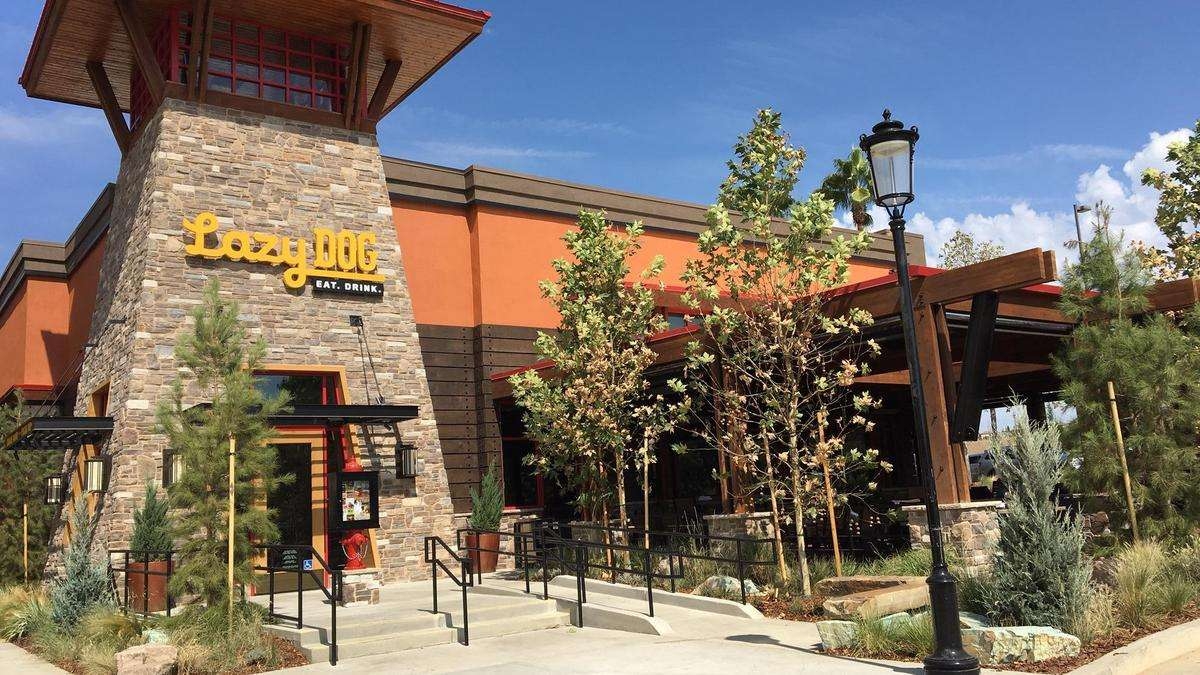 Lazy Dog Restaurant Colorado Springs