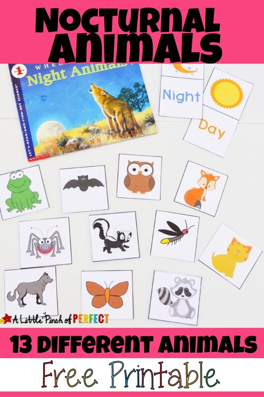 nocturnal animals printable activities