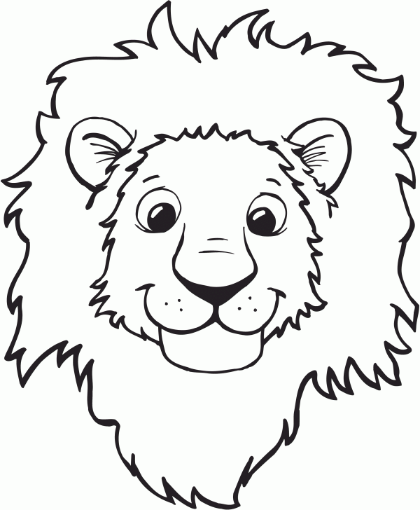 Lion 39 s Face