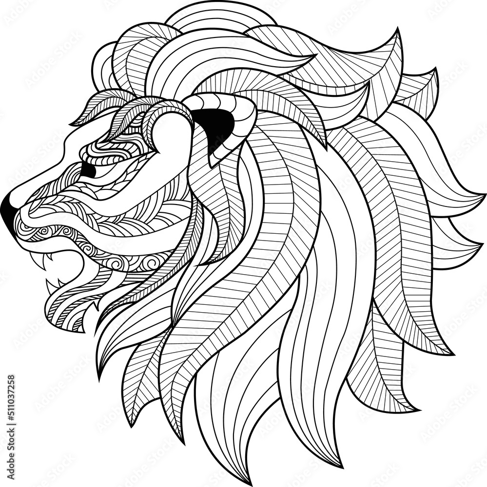 Lion Adult Coloring Book KDP Coloring Book Template Hand Drawn Doodle 