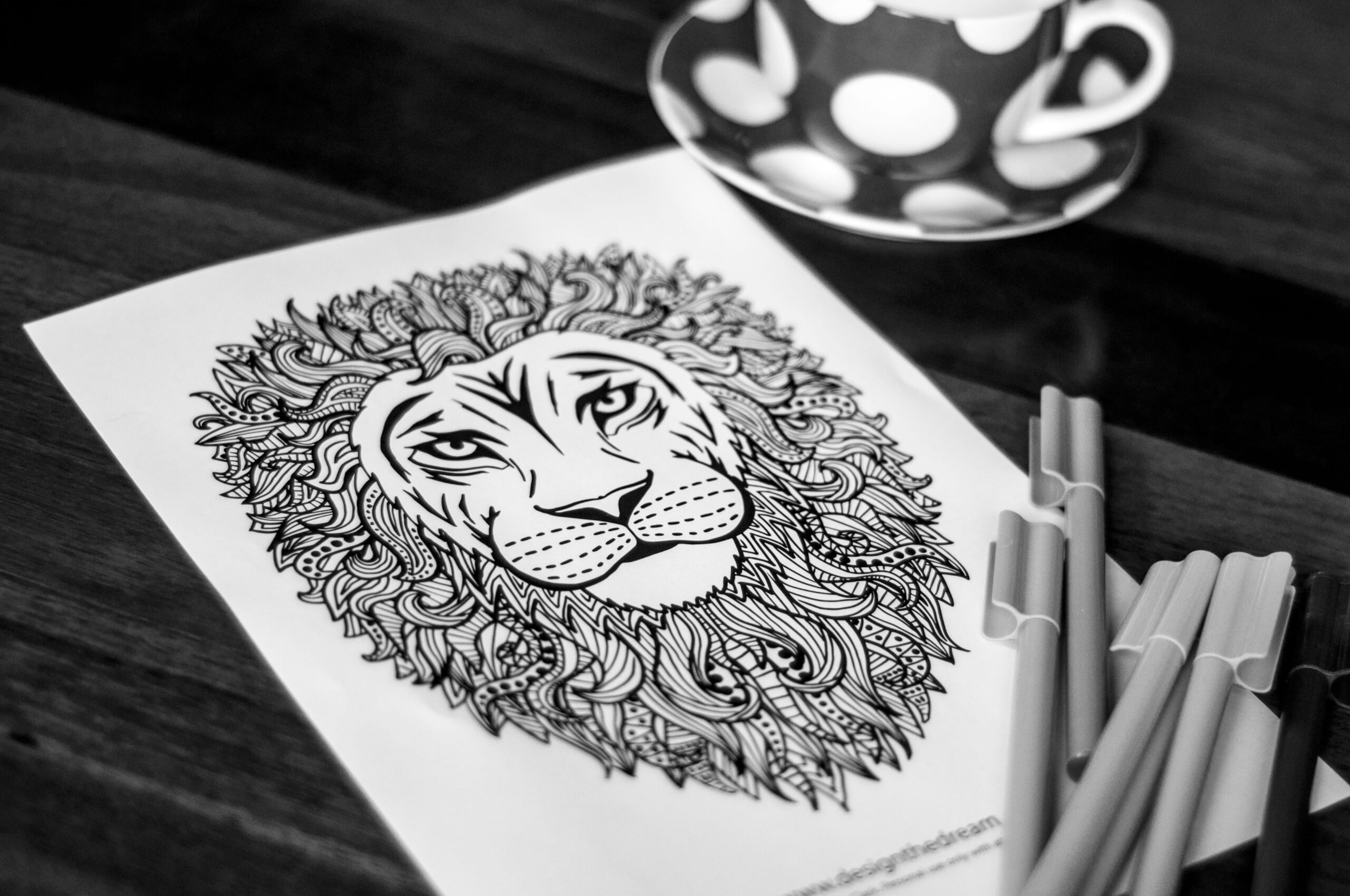 Lion Adult Coloring Page Sarah Renae Clark Coloring Book Artist 