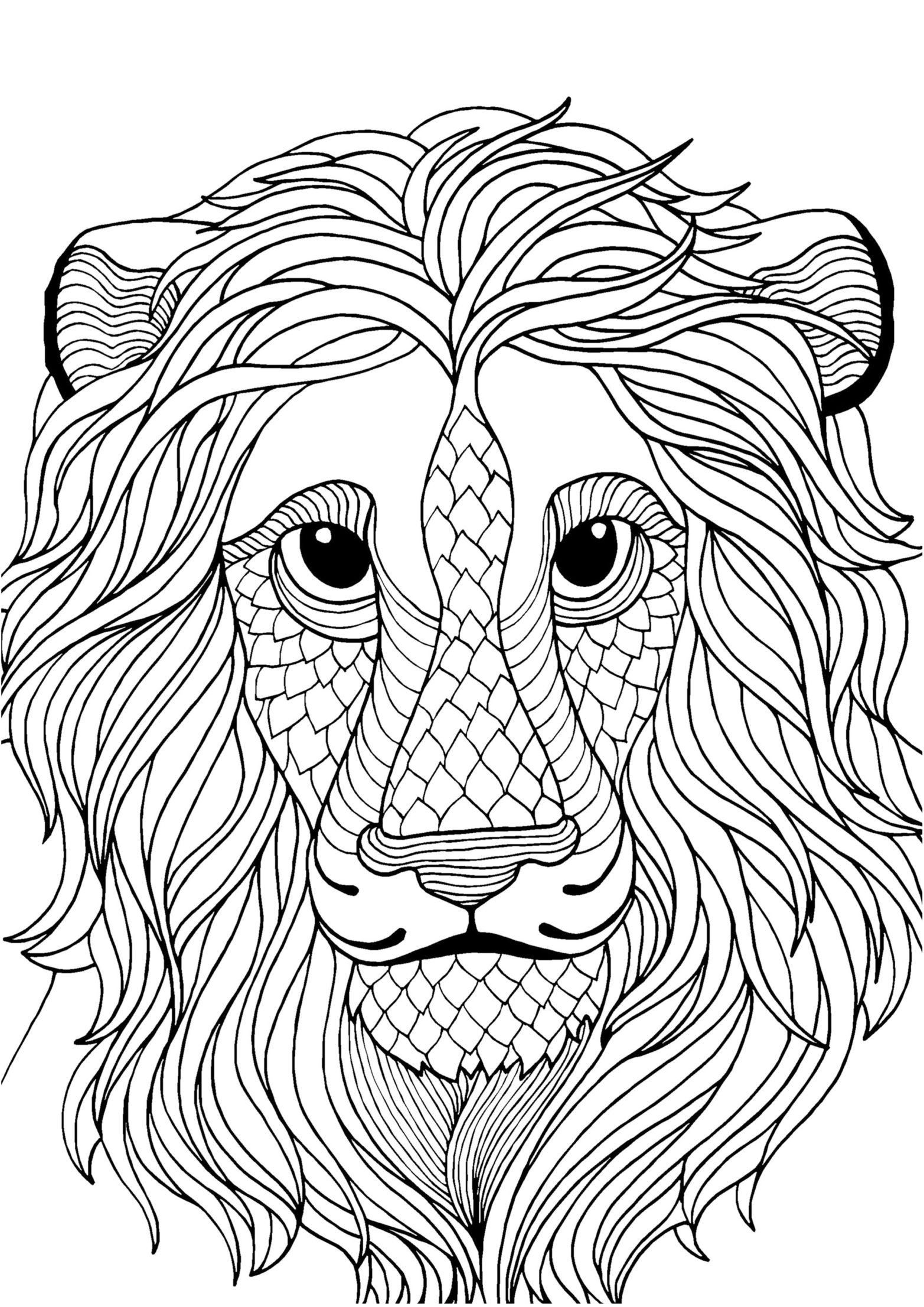 Lion Adult Coloring Page