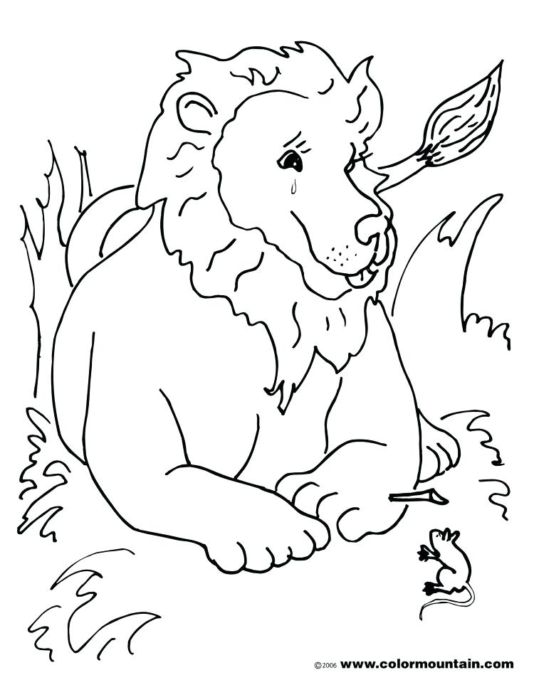 Lion And Lamb Coloring Page At GetDrawings Free Download