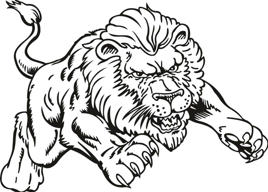 Lion And Tiger Coloring Pages At GetColorings Free Printable 
