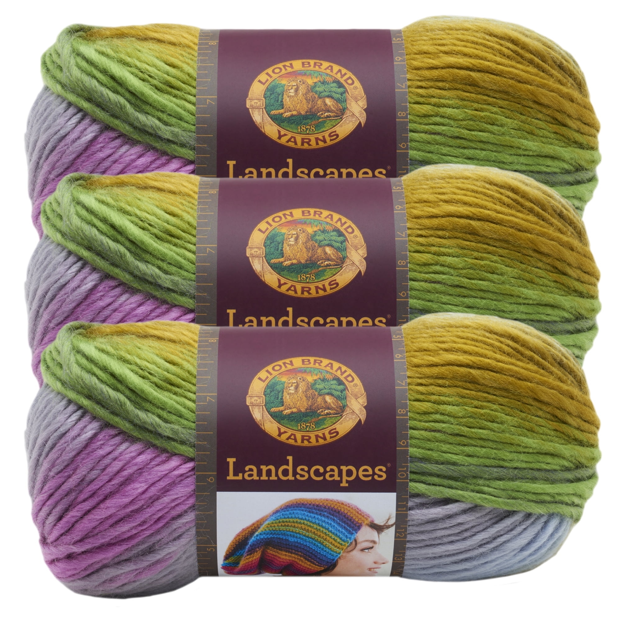 Lion Brand Yarn Landscapes Wild Flowers Self Striping Medium Acrylic 