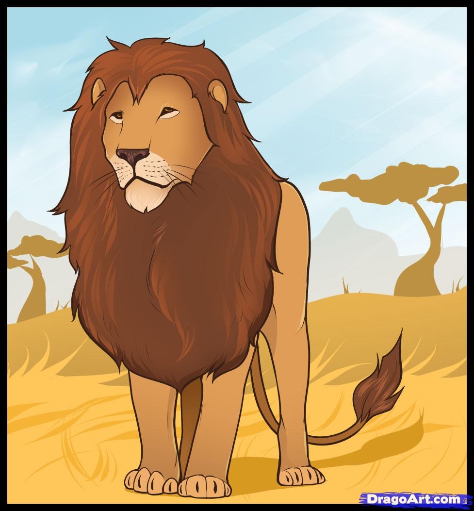Lion Color Drawing At PaintingValley Explore Collection Of Lion 