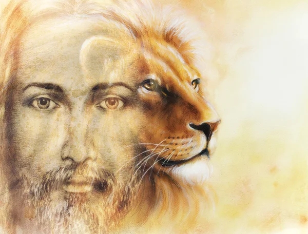 Lion Color Painting Profile Portrait Stock Photo By JozefKlopacka 68767655