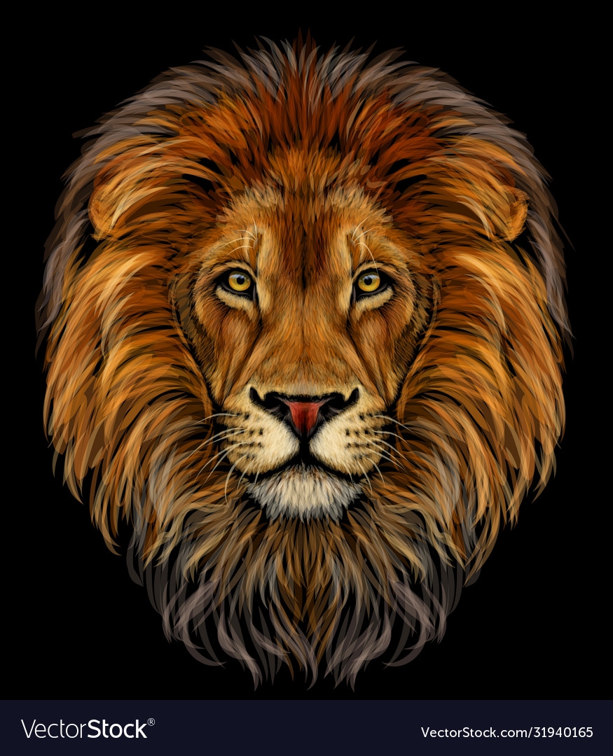 what is a lions color