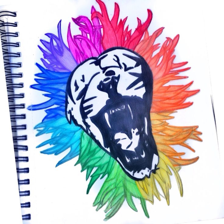 Lion Color Wheel Moose Art Artist Art