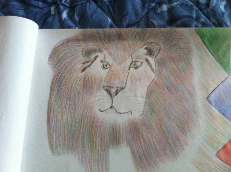 Lion Colored Pencil Drawing
